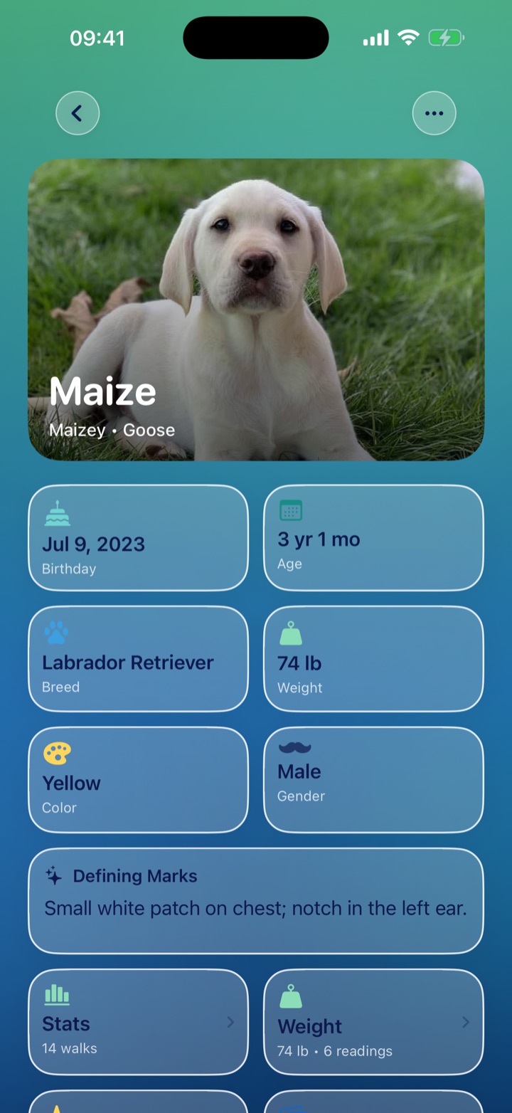 A dog&rsquo;s profile with photo, breed, age, weight, color, and defining marks