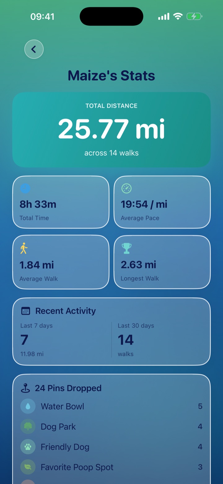 Stats — total distance, time, average pace, longest walk, recent activity, and pins dropped by type