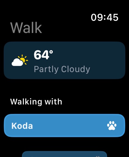 The Apple Watch app before a walk — current conditions and the dogs to head out with